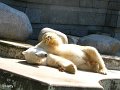 07 - Lars liegt entspannt in der Sonne